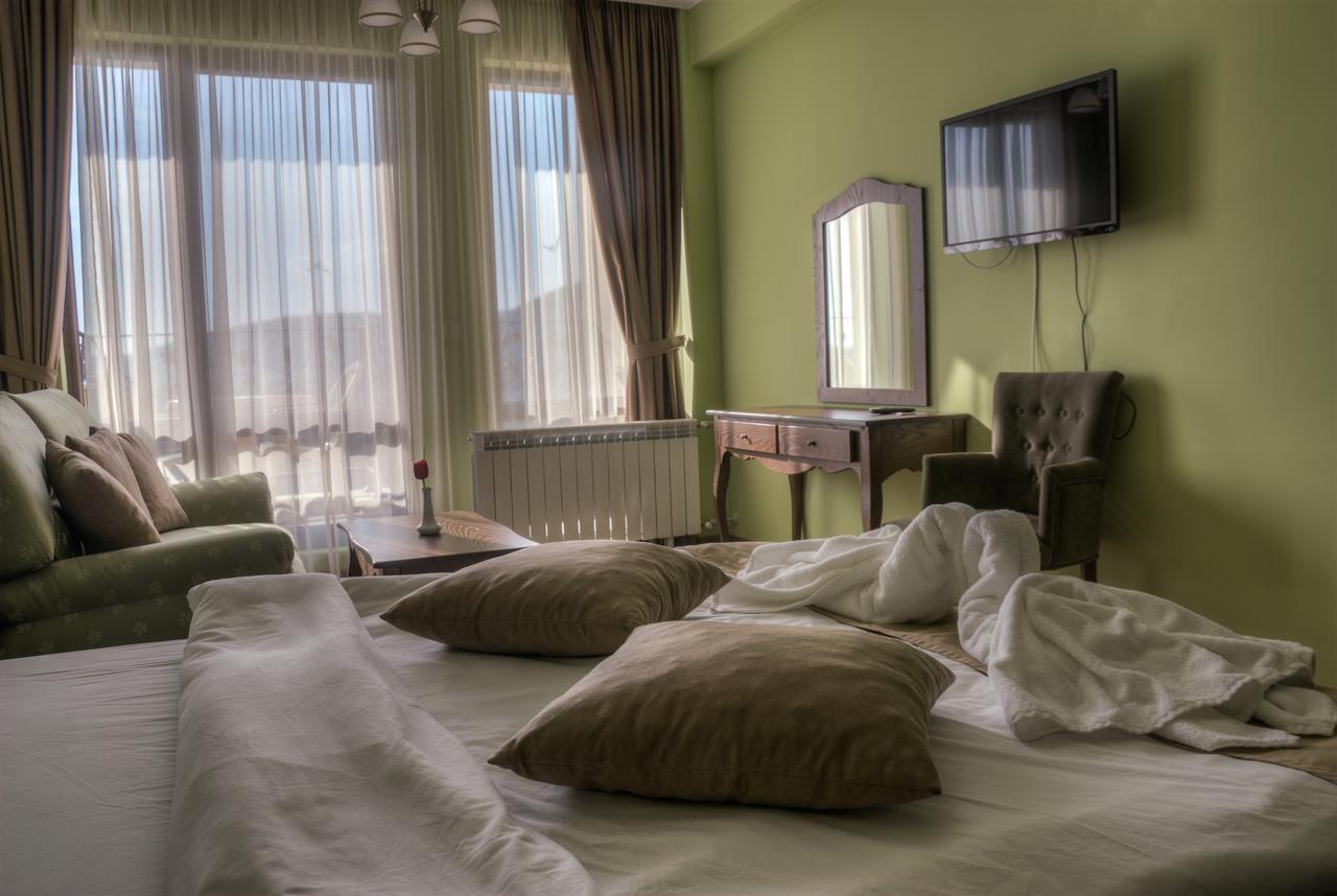 تارغوفيشته Hotel Chateau Des Bergers المظهر الخارجي الصورة